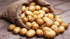 5 mistakes in storing potatoes that cause them to sprout by February