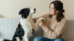 Dog body language: how to determine a dog's mood based on its behavior