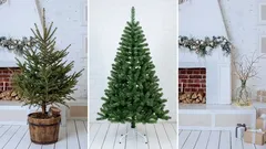 How to choose a Christmas tree: real, artificial, or none—pros and cons