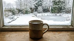 We place a mug of water on the windowsill: Why, who knows?