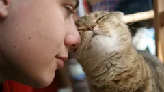 How a cat chooses whom to love more